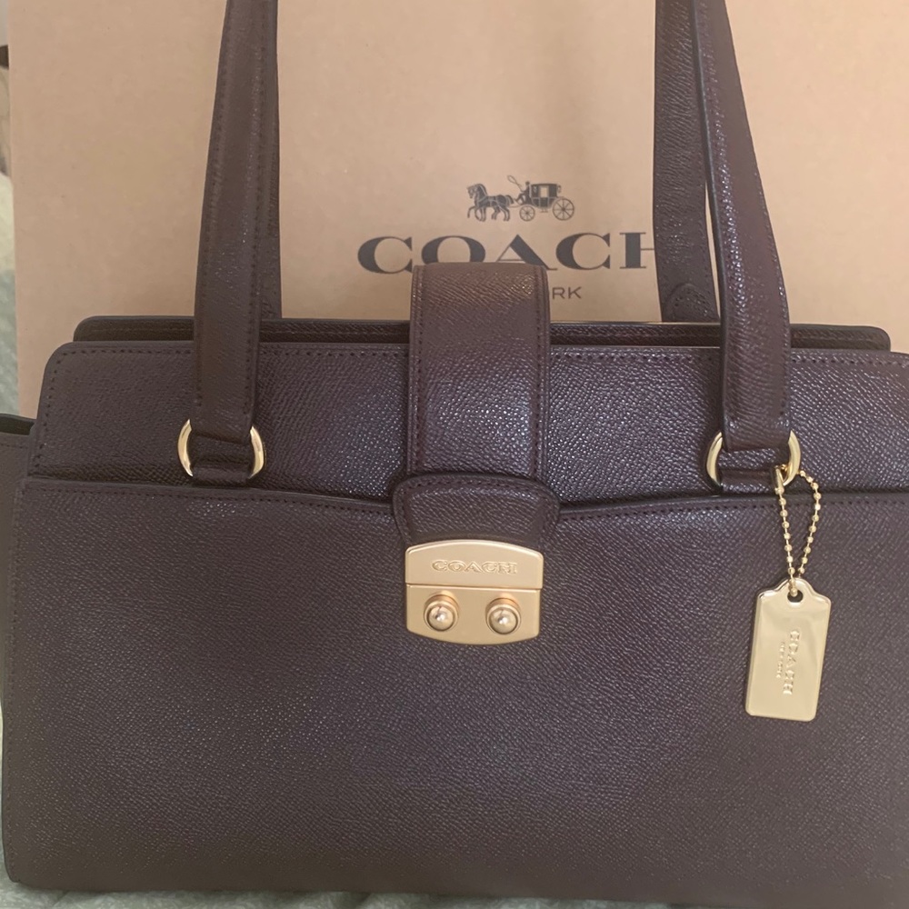AVARY CARRYALL (COACH F37832)
OXBLOOD 1/LIGHT GOLD
